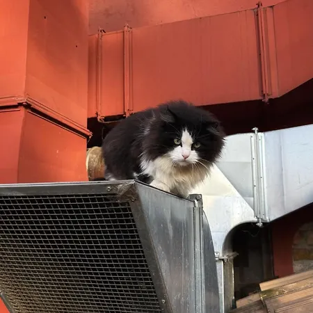 La Busa E Trattoria Fogadó Ponte San Nicolò